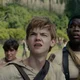 Newt - TMR