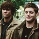 Winchester Brothers