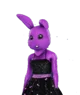 Purple bunny 
