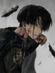 AOT- Levi Ackerman 
