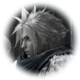 FF7 - Cloud Strife