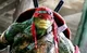Raph TMNT bayverse