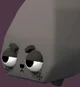 Coal