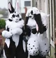 Bunny furries