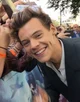 harry styles