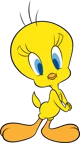 Tweety Bird