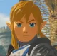 Link BOTW