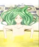 Lady Palutena