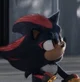 Shadow The Hedgehog