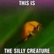 -The Silly Creature-