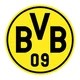 BVB