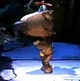 Little bear