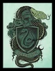 THE SLYTHERINS