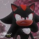 Shadow The Hedgehog 
