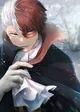 Shoto Todoroki