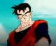 Futur Gohan Abridged