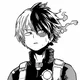 O1  Shoto Todoroki