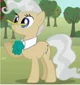 Mayor Mare