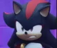 Shadow The Hedgehog