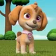 Skye - Paw Patrol