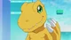 Agumon