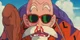 Master Roshi