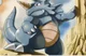 Rhydon