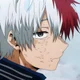 Shoto Todoroki