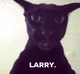 Larry