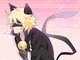 Cat Noir