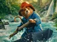 Paddington the Bear