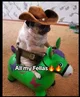 Cowboy dog 