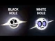 Black n White holes
