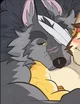 Wolf pet