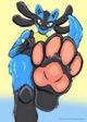 Macro Lucario