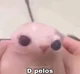 de pelos