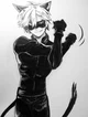 Chatnoir
