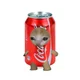 Gato CocaCola