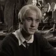Draco M