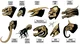 Hollow Earth