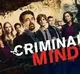 Criminal minds