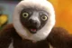 Zoboomafoo