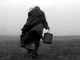Turin Horse
