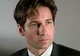 Fox Mulder
