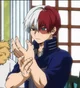 Shoto Todoroki