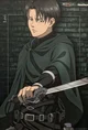 Levi ackerman 