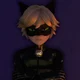 Cat noir