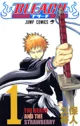 4 - Bleach -