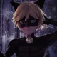 Cat Noir