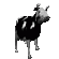 Polish Cow